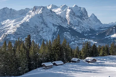 apartman za odmor Obiteljski odmor Brienz-Meiringen-Hasliberg