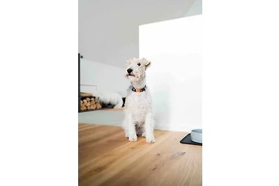 Casa vacanze Vacanza di relax Wittmund