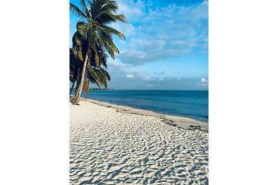 Vakantieappartement Gezinsvakantie Playa Larga