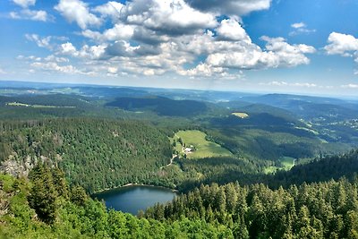 Vakantieappartement Gezinsvakantie Falkau