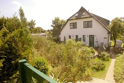 Ferienhaus "Kormoran" in Gross