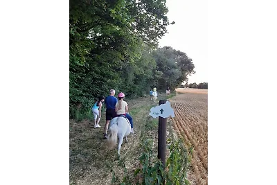 Vakantiehuis Ontspannende vakantie Vellahn