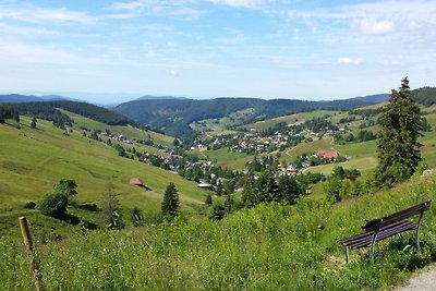 Vakantieappartement Gezinsvakantie Todtnau