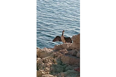 Ferienwohnung Ksenija