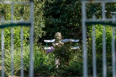 *** Studio-Inselrose ***