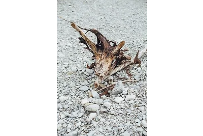 Wildgrün Mini Lodge 2