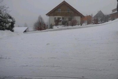 Ferienwohnung Seeblick Nr 1