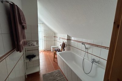 Ferienwohnung Seeschwalbe