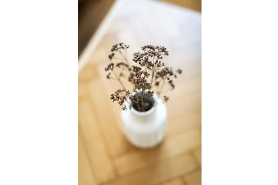 Cosy Apartment 01 - Urban Jungle