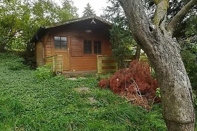 3072: Apartment MITTERFELD - Top B