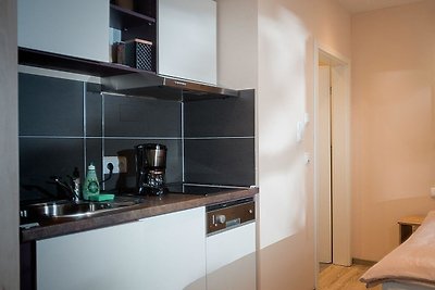 Vakantieappartement Gezinsvakantie Marktheidenfeld