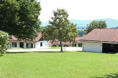 Ferienhaus Nr. 67, Kategorie