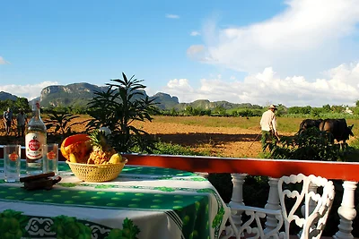 Vakantieappartement Gezinsvakantie Pinar del Rio