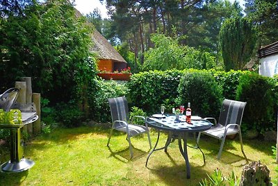 Holiday home relaxing holiday Dierhagen