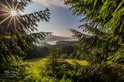 Ferienhaus Dresselbach - Wohnung 02