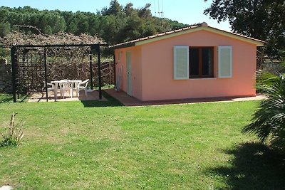 Holiday home relaxing holiday Capoliveri