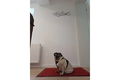 Appartamento Vacanza con famiglia Rotenburg Ortsteil Waffensen