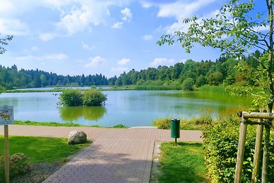 Hahnenklee mit Seeblick 219