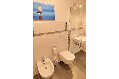 Wilde Möwe No. 29 - Aurora Vista -