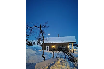 Fjellspurven