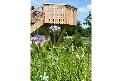 Wald ist Zukunft [Baumhaus Biene]
