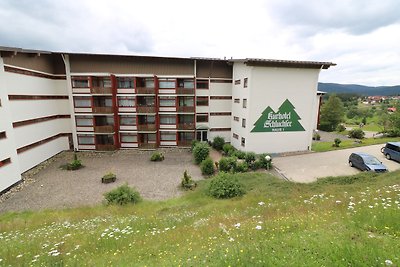 Kurhotel Schluchsee App. 1103 - das