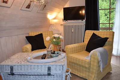 Vakantieappartement Gezinsvakantie Feldberg