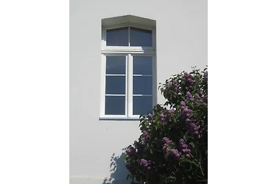 Gutshaus Hinrichsberg: Parkblick