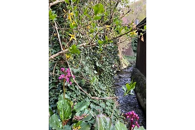 Gemütliche Ferienwohnung Nr. 4 im