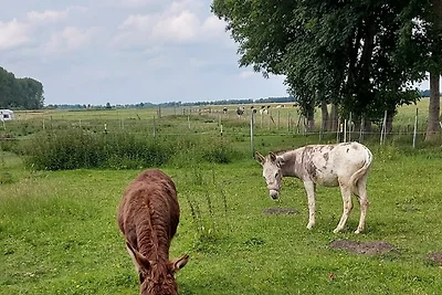 Appartamento Vacanza con famiglia Ihlow