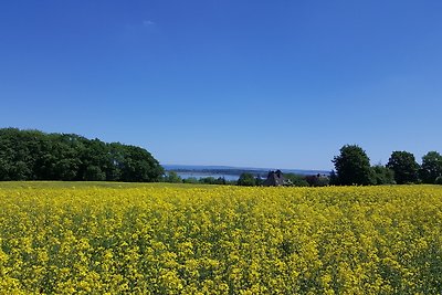 Fewo Seenlandschaft