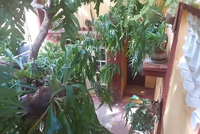 La Casa D' Pepe Appartement 1