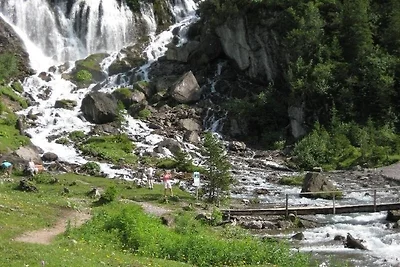 Ferienwohnung Lenk