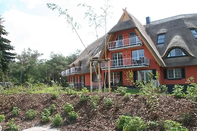 Appartement Vacances avec la famille Dierhagen