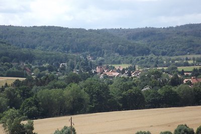 Harzhaus Fewo Gartenblick