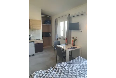 Olivia Valkanela App. 3