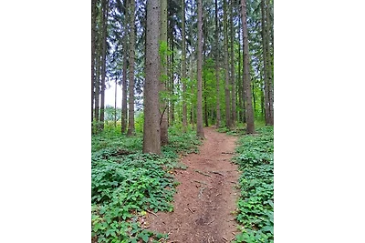 Vakantieappartement Gezinsvakantie Brand-Erbisdorf