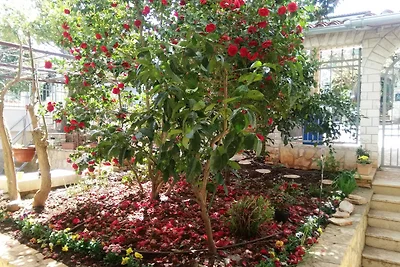 Traumurlaub in der Villa MaVeRo