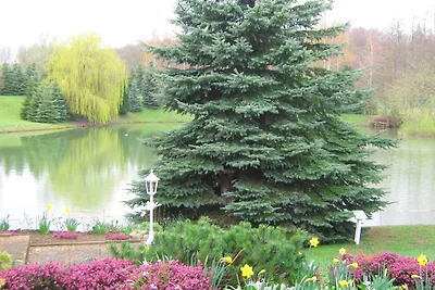 Haus am Kojenteich - Klosterdorf