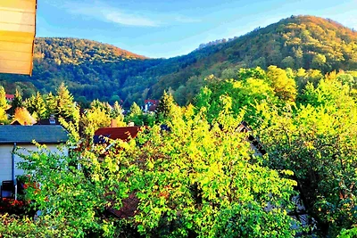 Appartamento Vacanza con famiglia Bad Harzburg