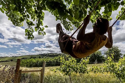 Quindici Alberi Legnaia