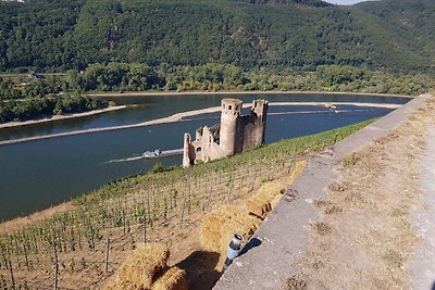 Appartamento Vacanza con famiglia Rüdesheim am Rhein