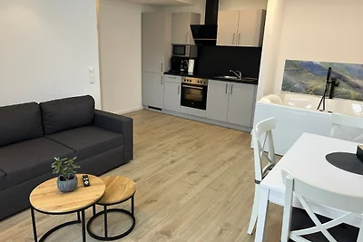 RheinSchatz Apartment 4
