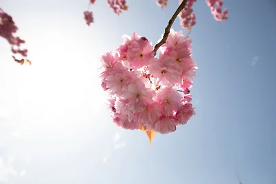 Haus an der Düne Wohnung 2