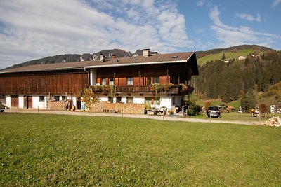 Vakantieappartement Gezinsvakantie Wildschönau