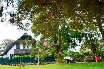 Casa vacanze Vacanza di relax Groß Zicker