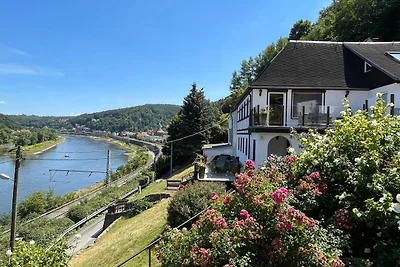 Elbblick grosse Loftwohnung
