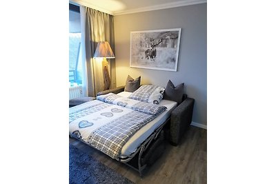 Holiday flat family holiday Goslar
