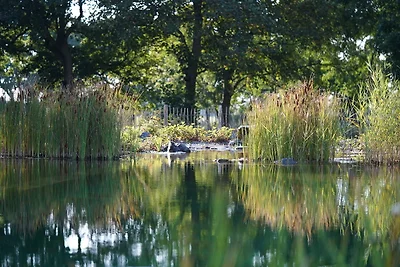 Traumkrone Ferienwohnungen -
