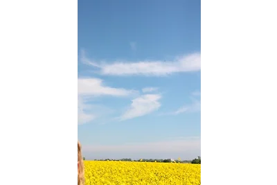 Ferienwohnung "Möwennest"